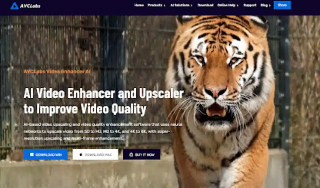 Video Quality Enhancers