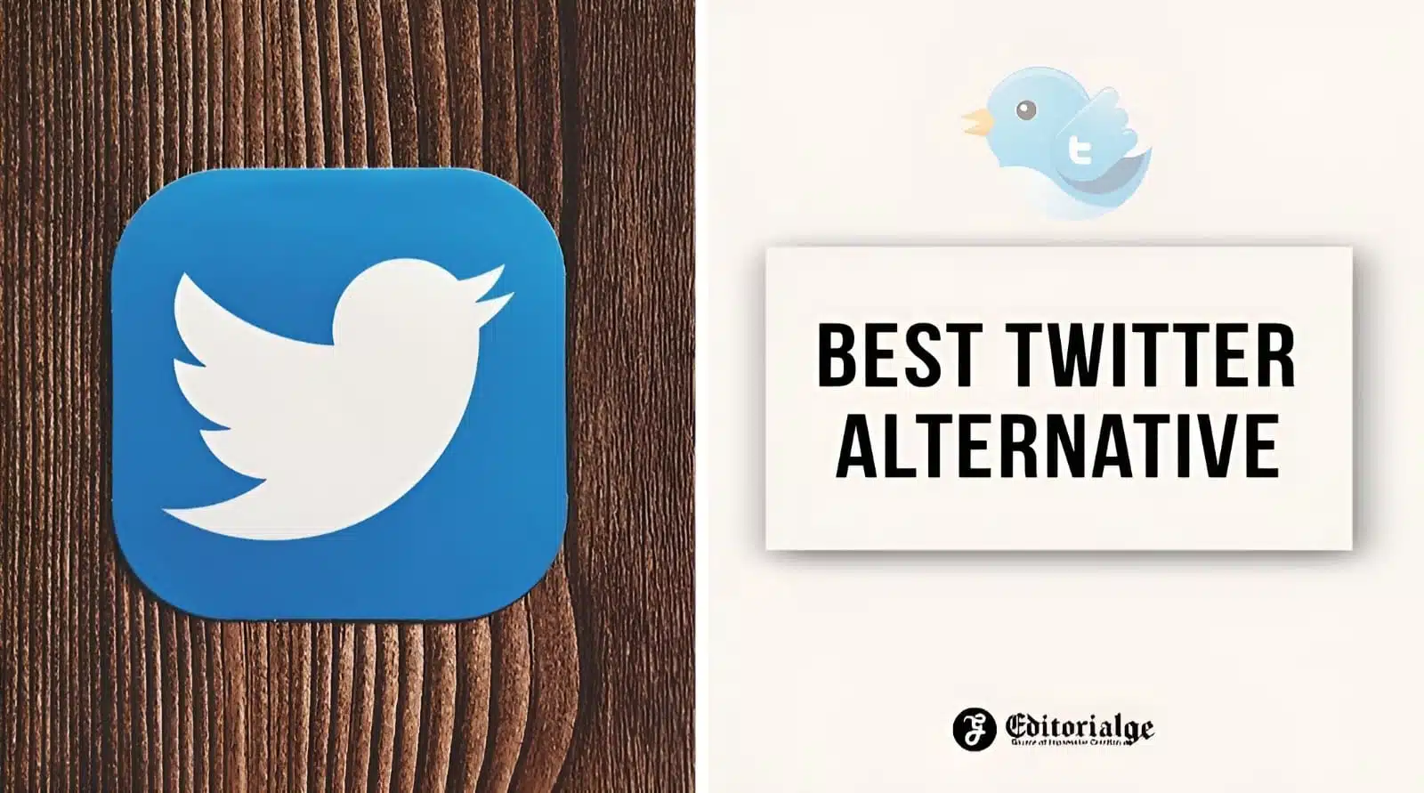 Best Twitter Alternative