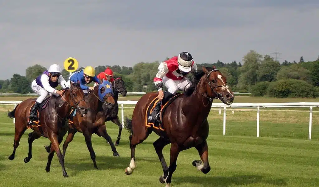 Horse Racing Festivals