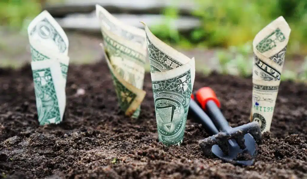 CEO to raise funds through external sources