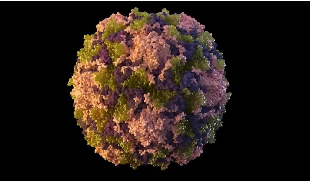 High Risk of Getting Polio