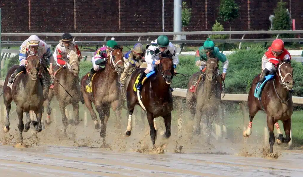 Churchill Downs Suspends Racing