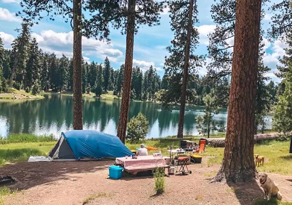 Discover Perfect Destination for Camping in Summer