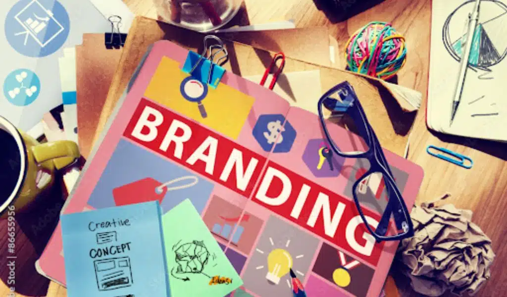 Establish Brand Authority in Your Niche