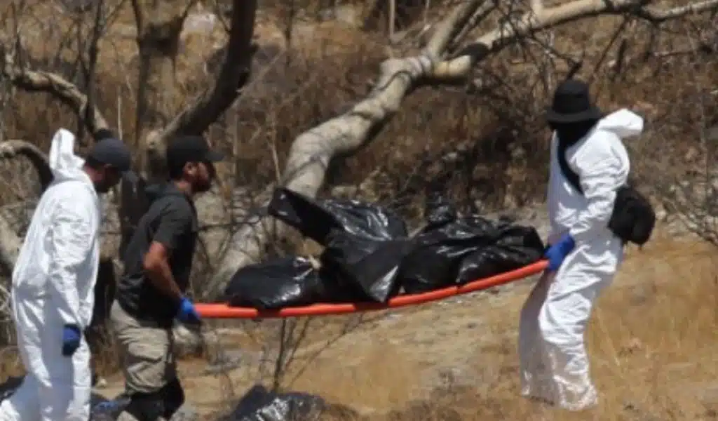 Missing Call Center Staff Found by Mexico Police