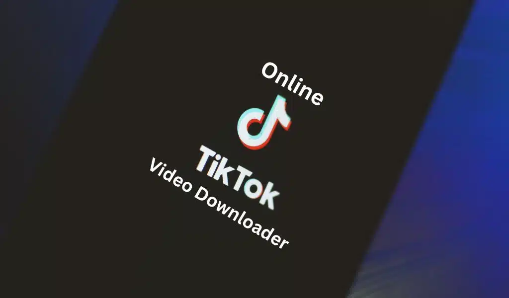 TikTok Video Downloader
