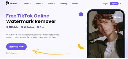 TikTok Video Downloader