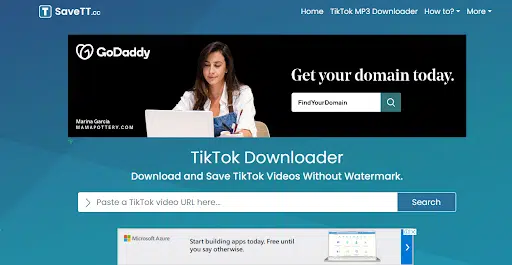 Online TikTok Video Downloader