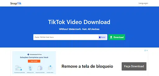 Online TikTok Video Download