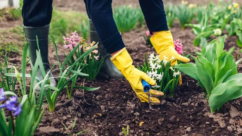 Preparing Garden Space for Springtime