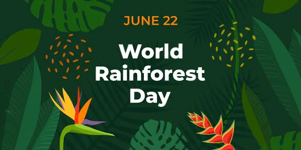 World Rainforest Day 2023