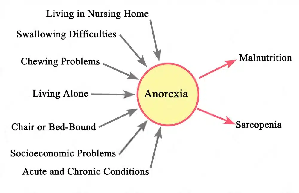 anorexia causes