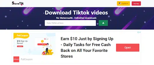 Online TikTok Video Downloader