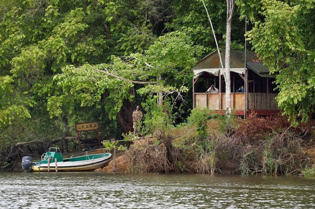 Gabon, Ogooue-Maritime Province, Loango National Park