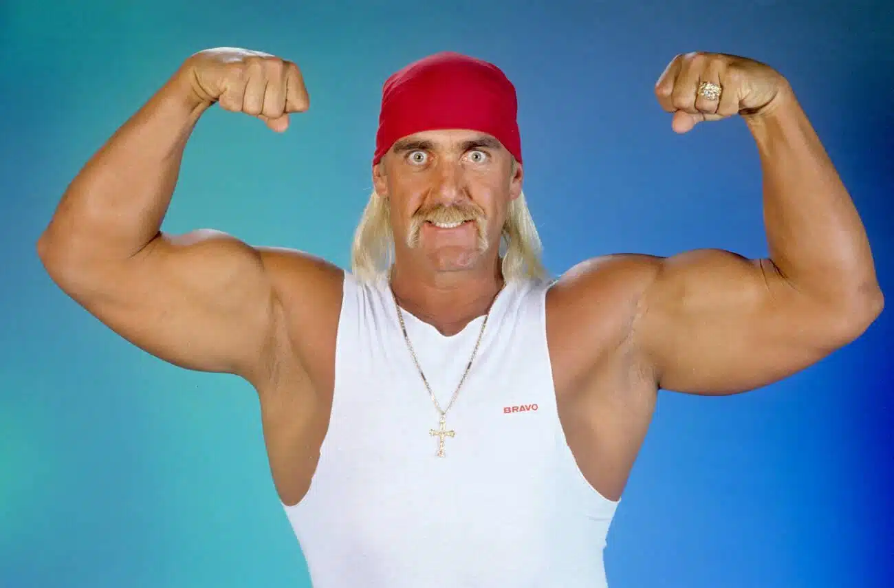 hulk hogan