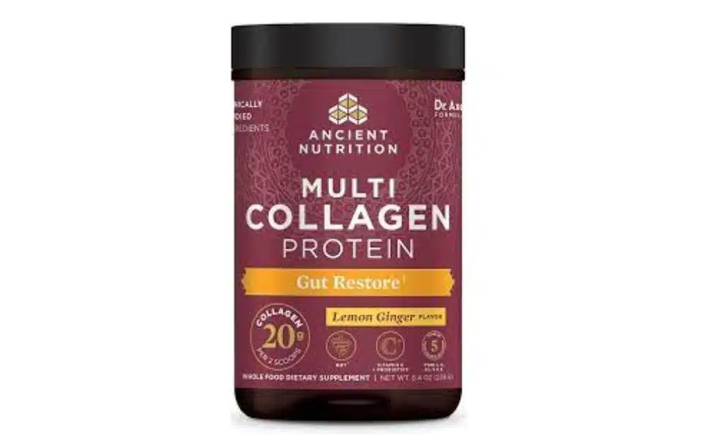 Ancient Nutrition Gut Restore