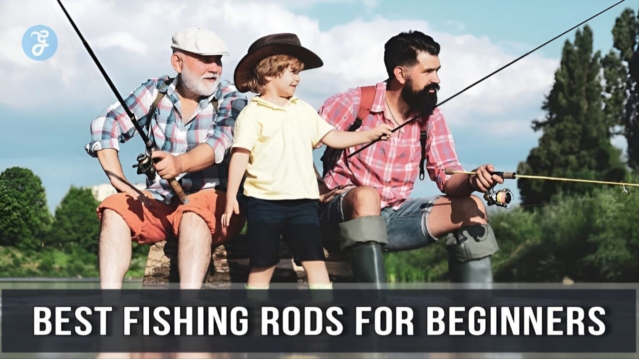 Best Fishing Rod for Beginner