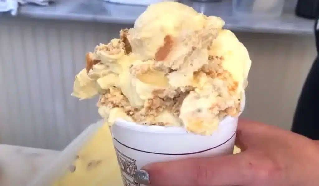 Dessert Spots in Gainesville