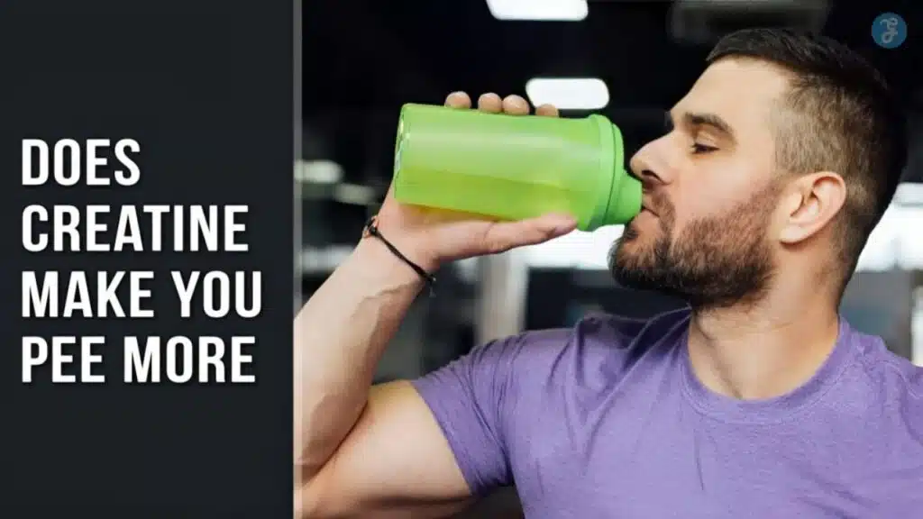 Does Creatine Make You Pee More