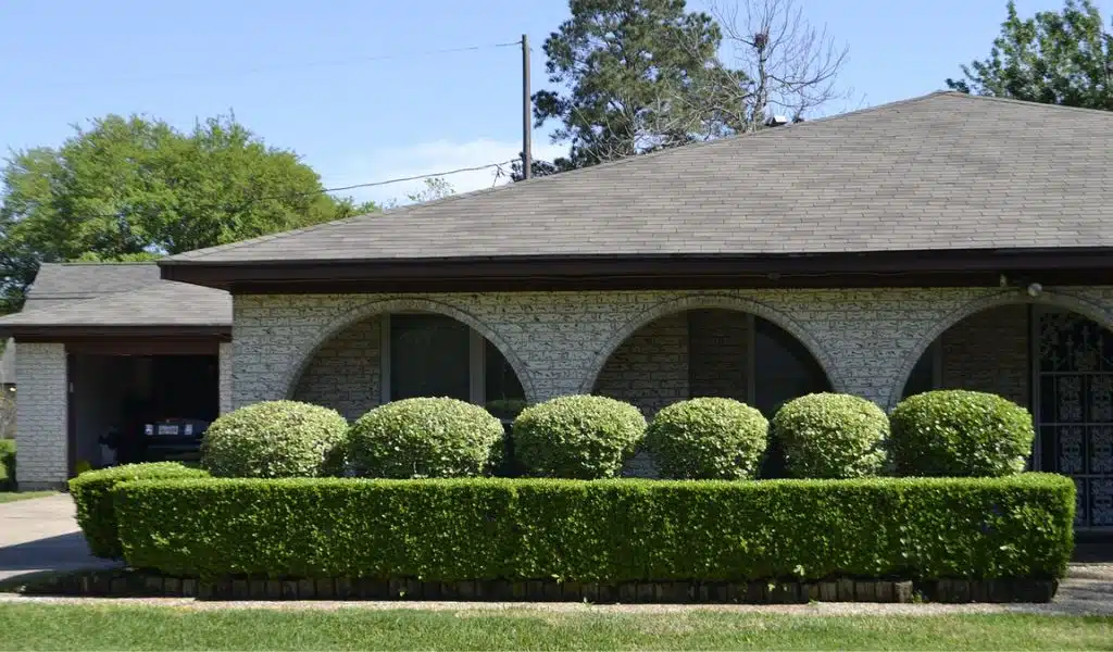 Garden Clearance Guide