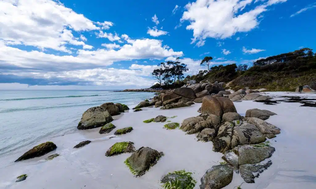 Indian Rocks BeachIndian Shores Beach