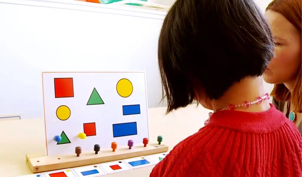 Occupational Therapists