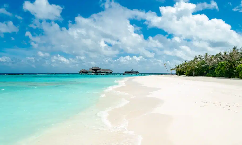 Pavones Beach, Golfito A Surfer's Paradise in Costa Rica