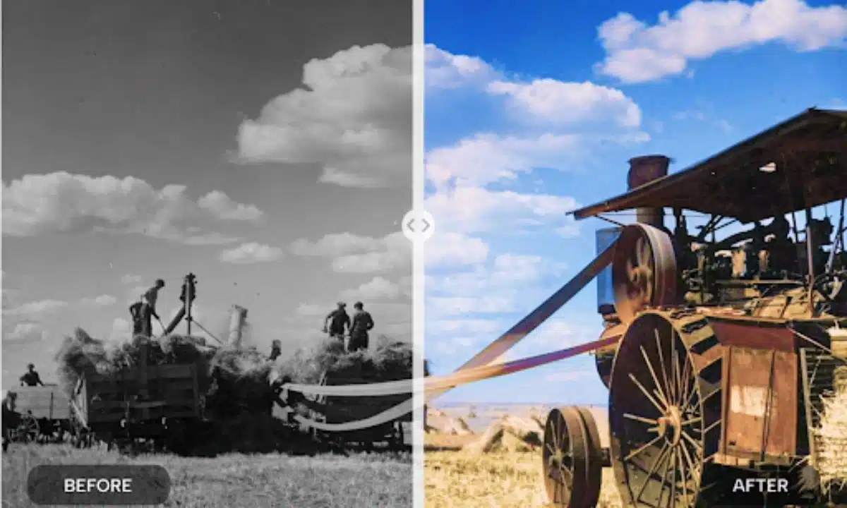 Instant Photo Restoration with AI