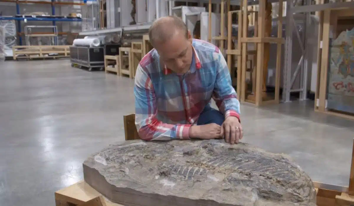 Giant Amphibian Discovered in Australia