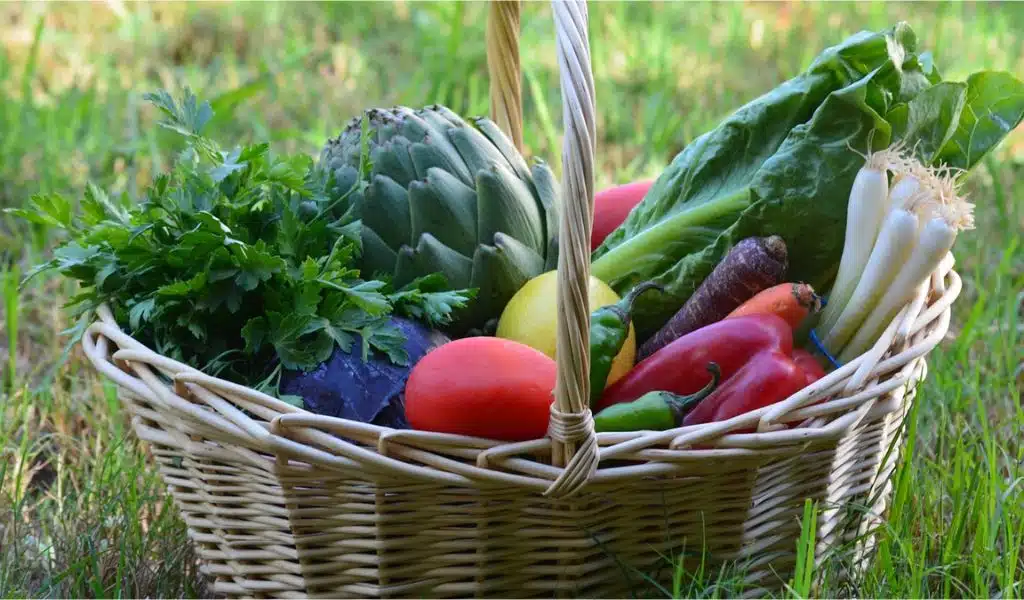 Going Vegan Significantly Reduced Environmental Impacts