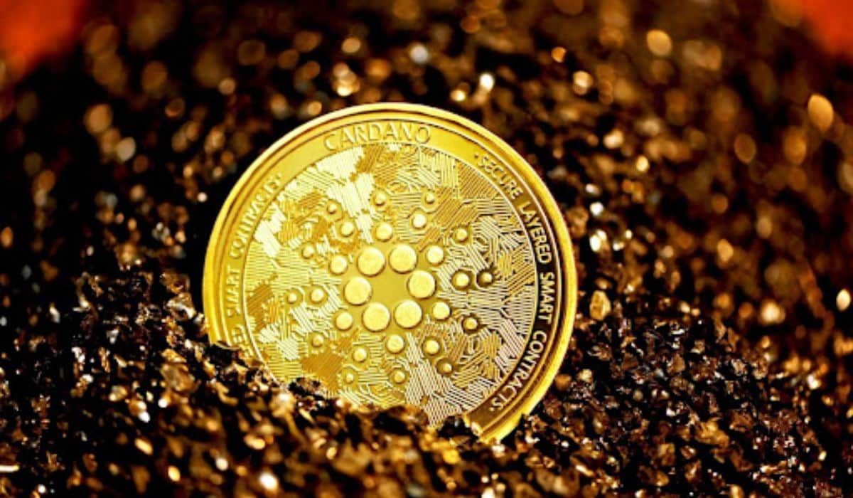 How to Protect your Digital Assets