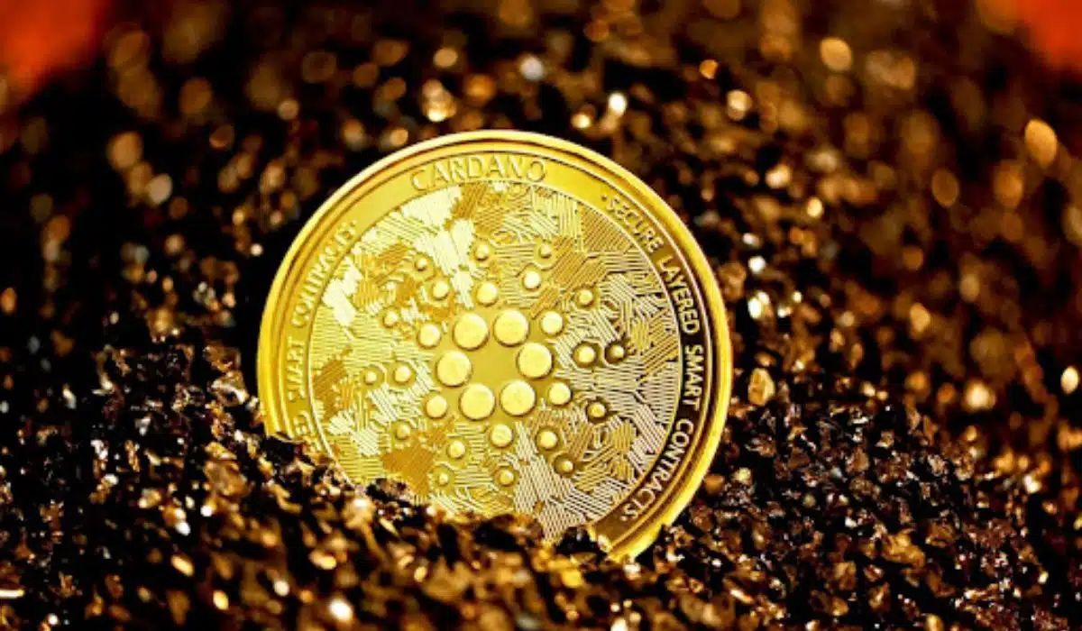 How to Protect your Digital Assets