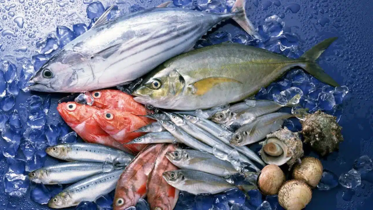 Most Fish Consumption Countries