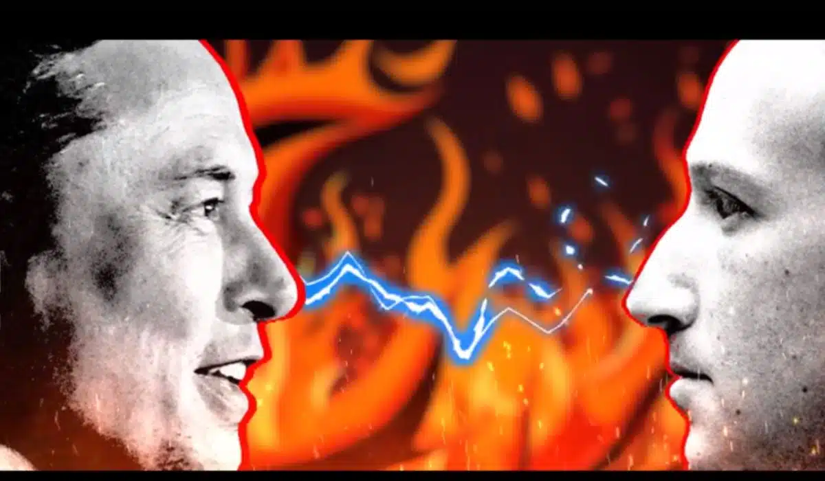 Elon Musk vs Zuckerberg Fight
