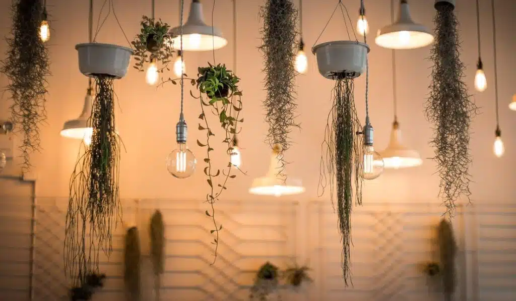 Pendant Lighting Ideas