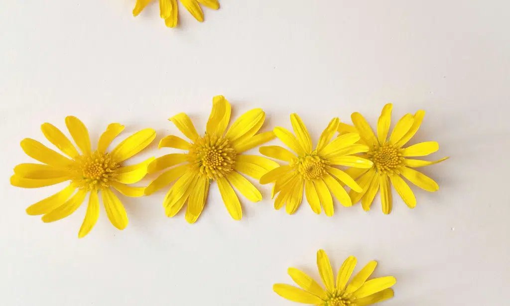 Special wallpaper for iPhone