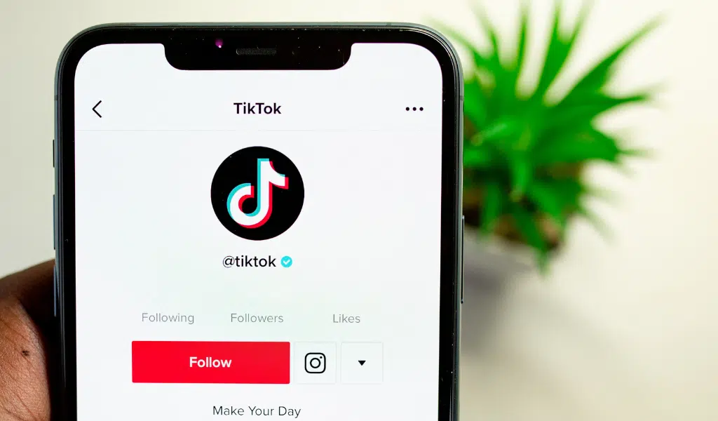 TikTok Following Feed