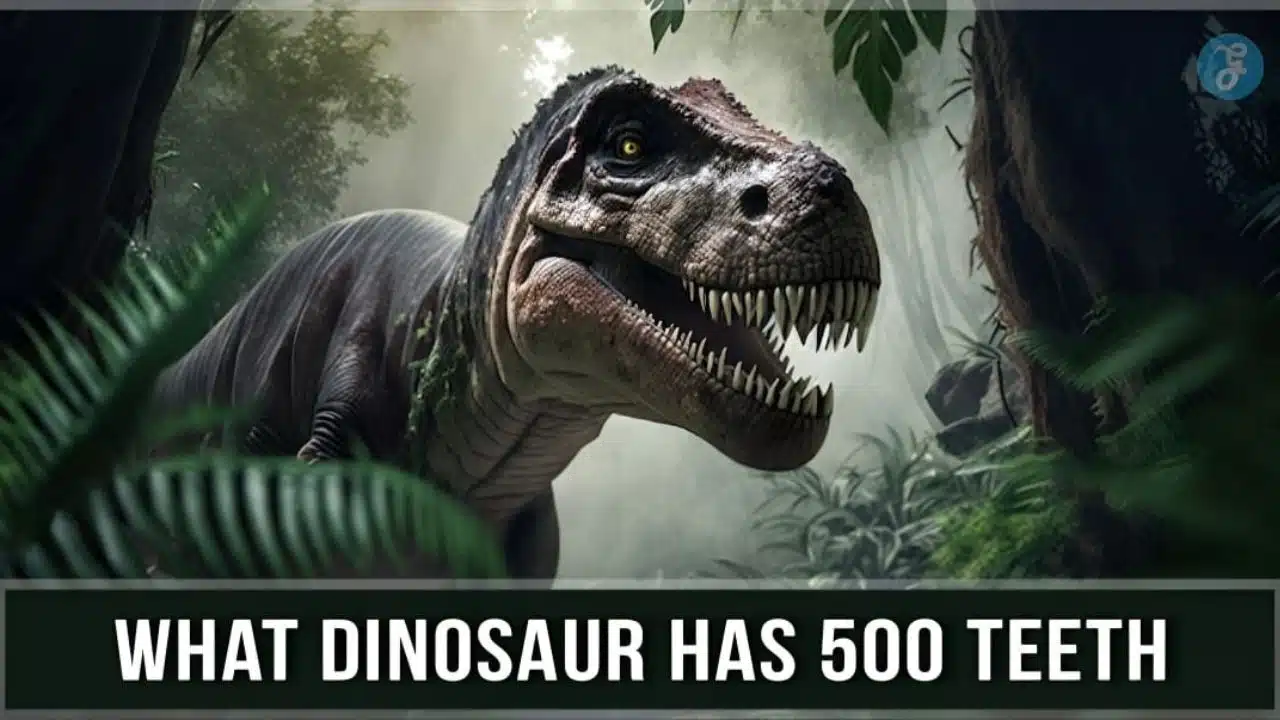 What Dinosaur Has 500 Teeth