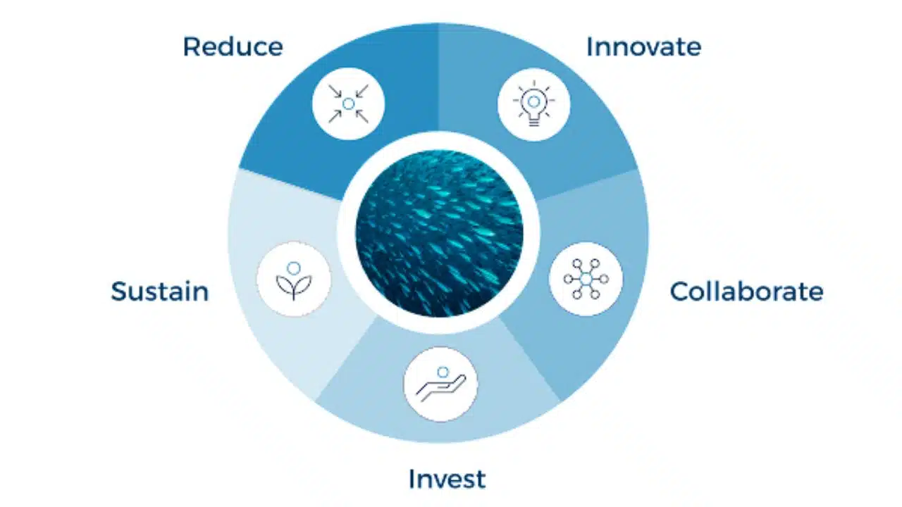 Circular Packaging Systems