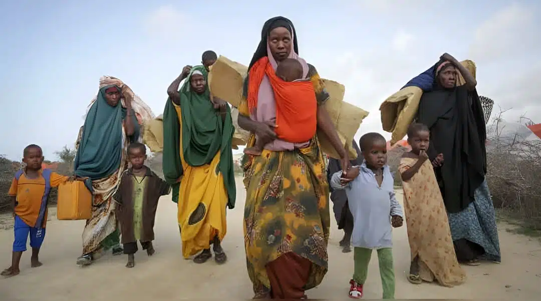 climate refugees in africa