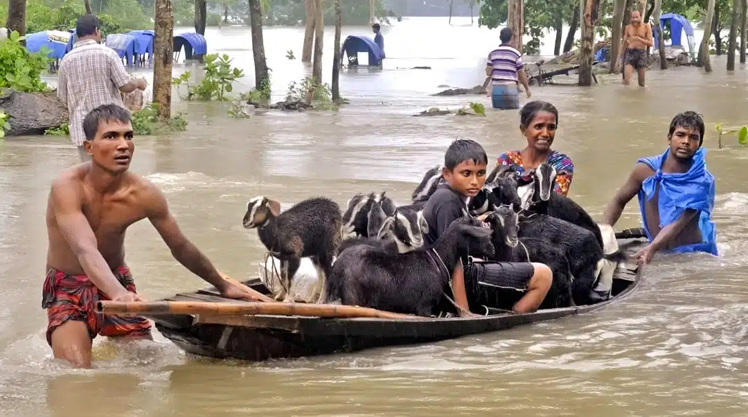 effect of climate changes