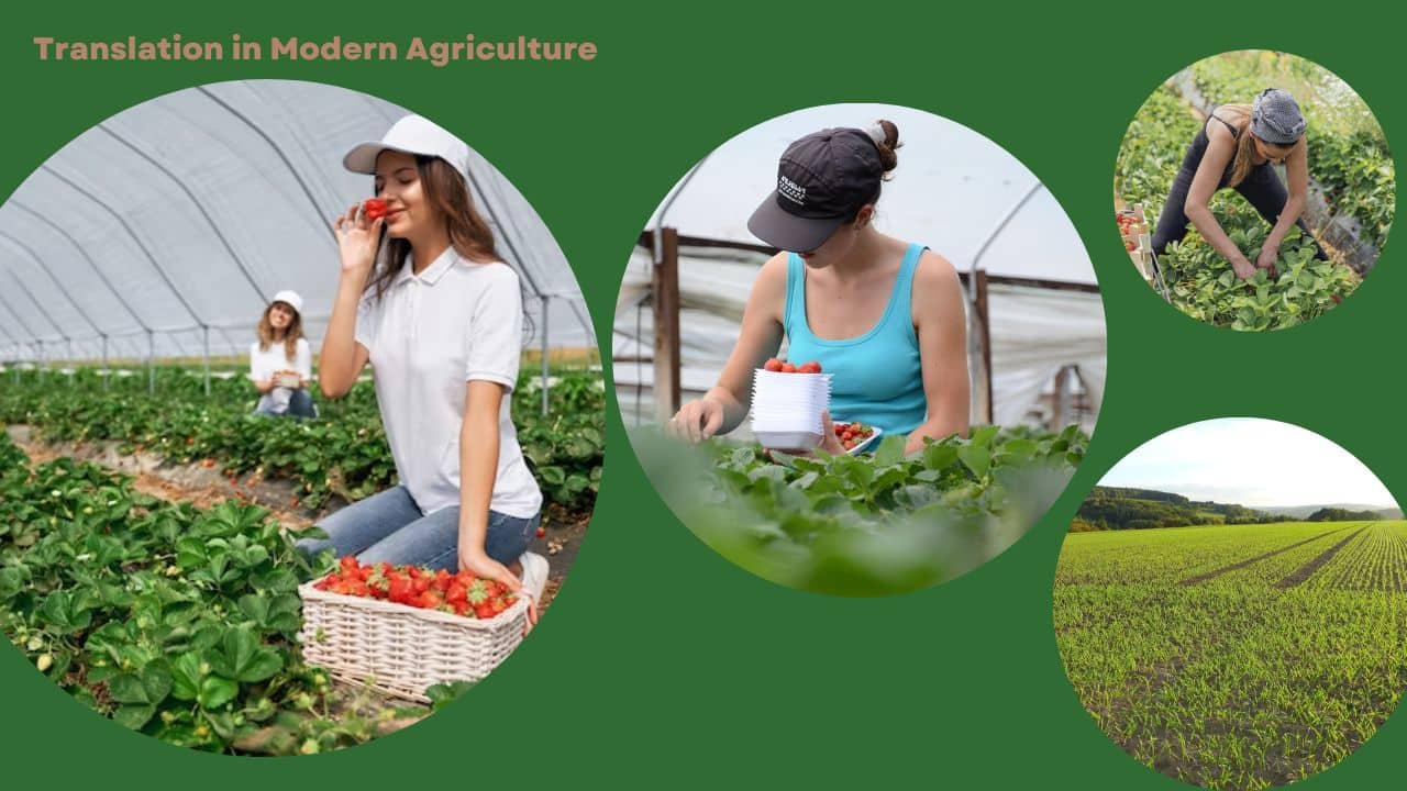 Agriculture Translation Importance
