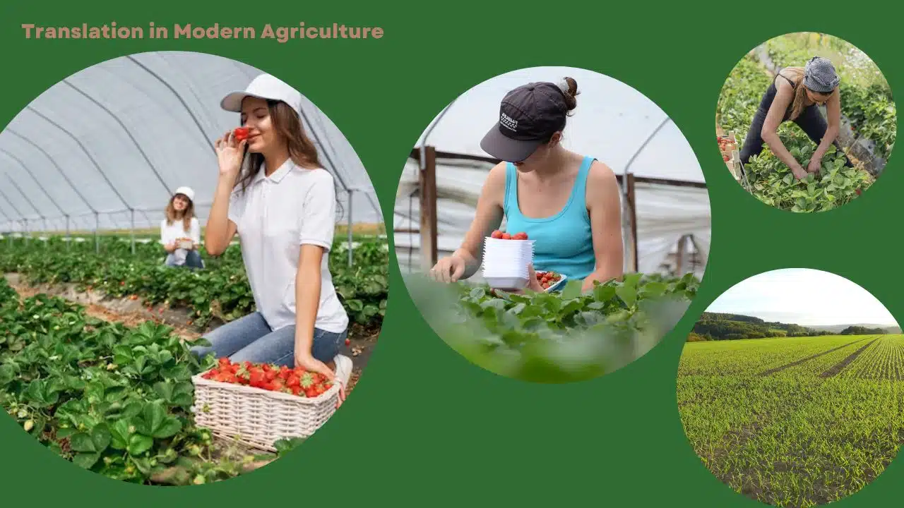Agriculture Translation Importance