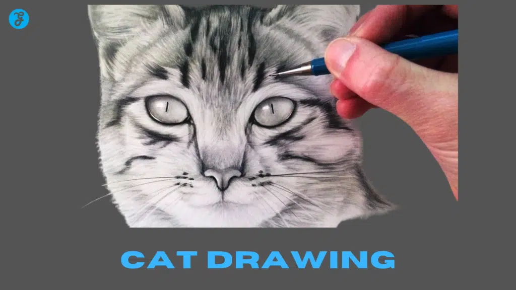 Cat Drawing