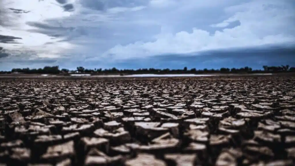 Experts Predict Strong El Nino in 2024
