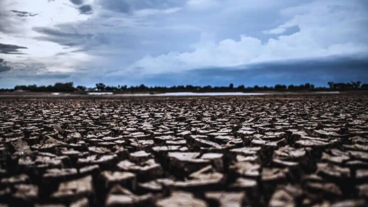Experts Predict Strong El Nino in 2024