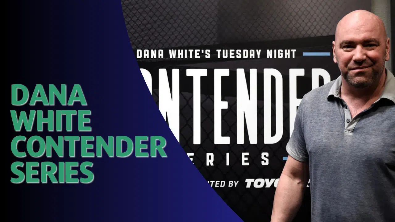 dana white contender series