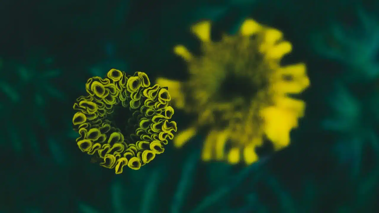 China Mysterious Pneumonia Outbreak WHO Advisory