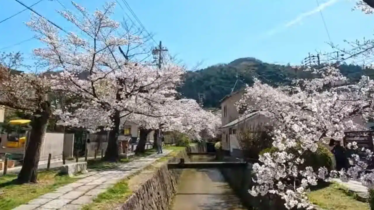 Most Beautiful Streets in the World