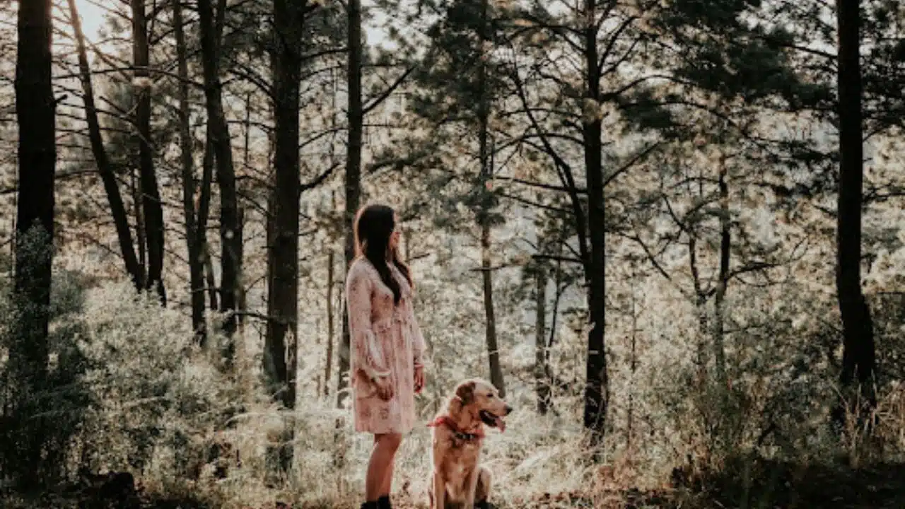 Ultimate Guide to Dog Ownership